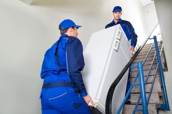 1e2aed556182bbdd9cd221efc83b57f4